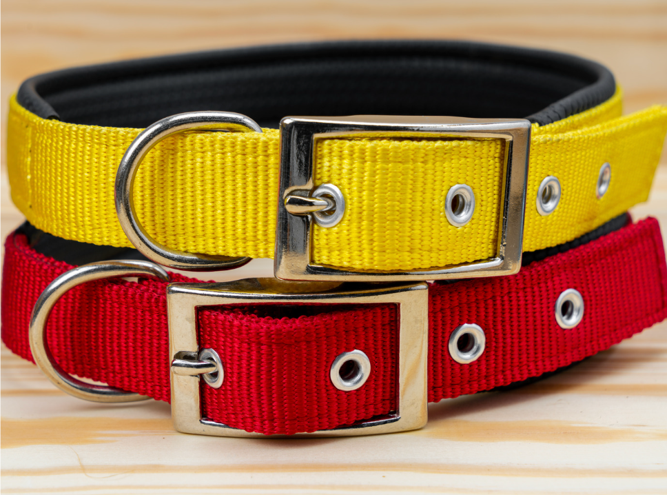 Pet Collars & Leashes