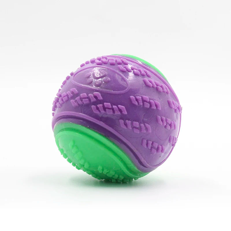 Squeaky Ball Toy