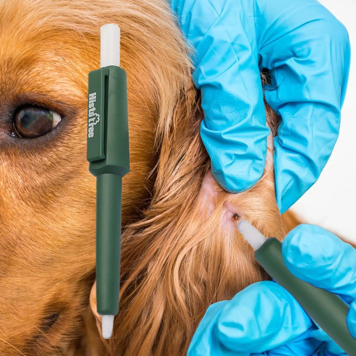 Pet Tick Remover Tool Durable Family Pet Flea Control Waterproof Portable Rustproof Tick Removal Pen For Cat Dog