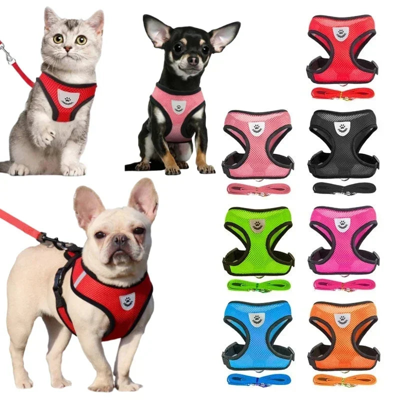 Harness Vest