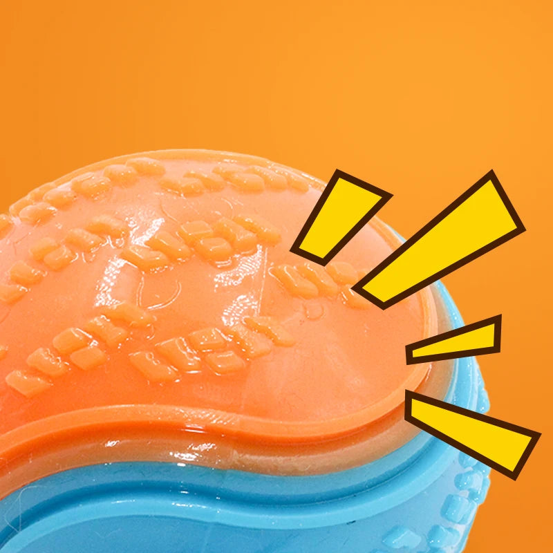 Squeaky Ball Toy