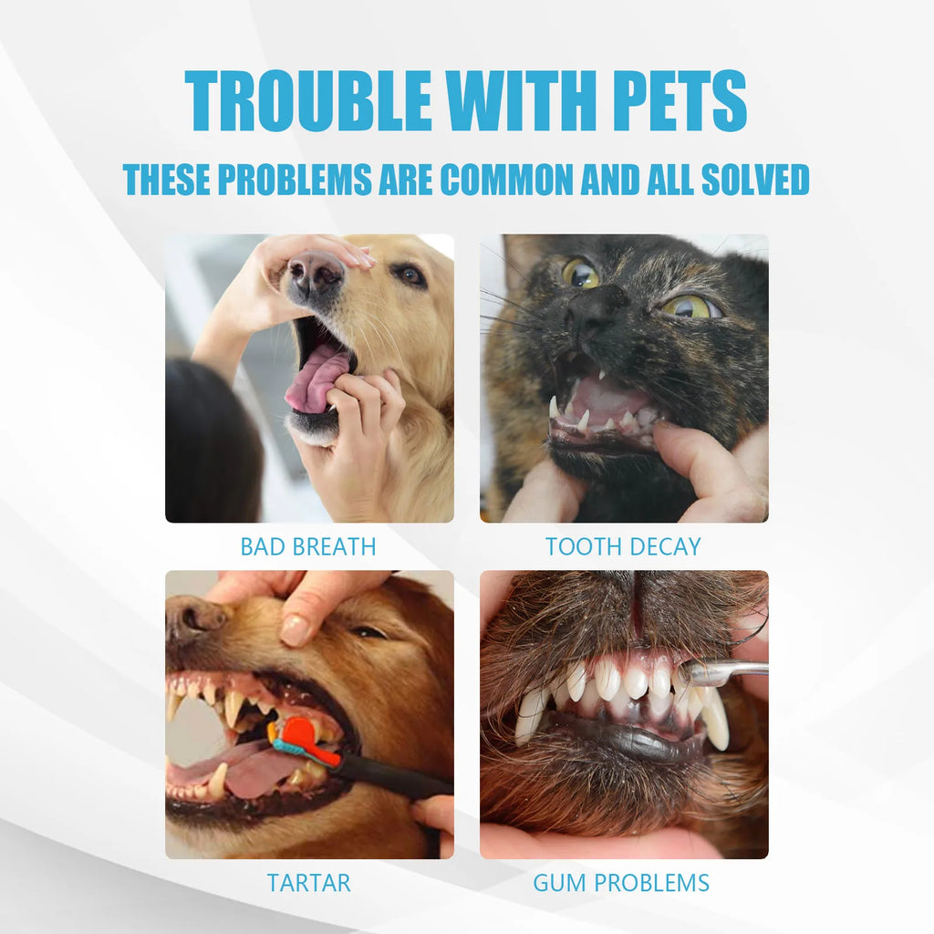 Pet Edible Toothpaste Remove Dental Plaque Prevent Teeth Calculus Fresh Breath Tartar Control Mouth Deodorant Dog Cat Oral Care