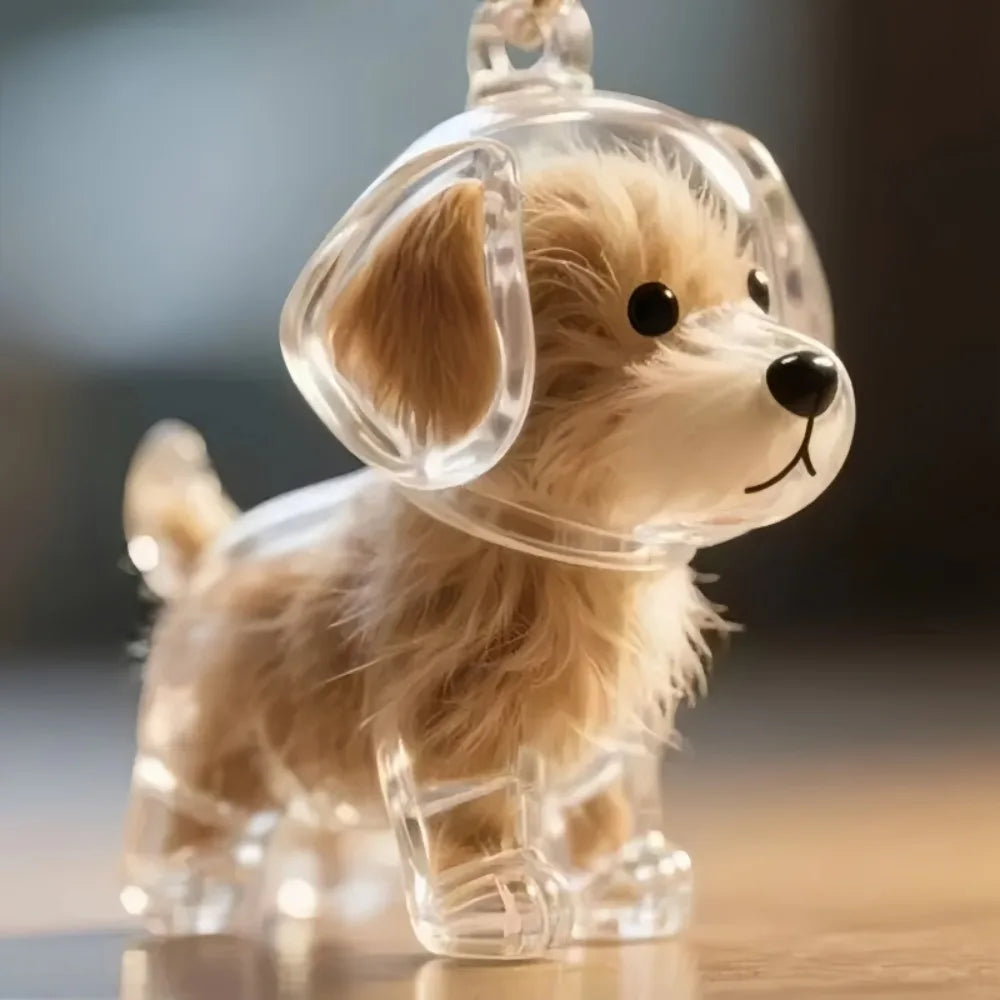 Pet Fur Storage Container Transparent Capsule Pendant with Keychain Suitable for Pet Enthusiasts To DIY Commemorative Keychain