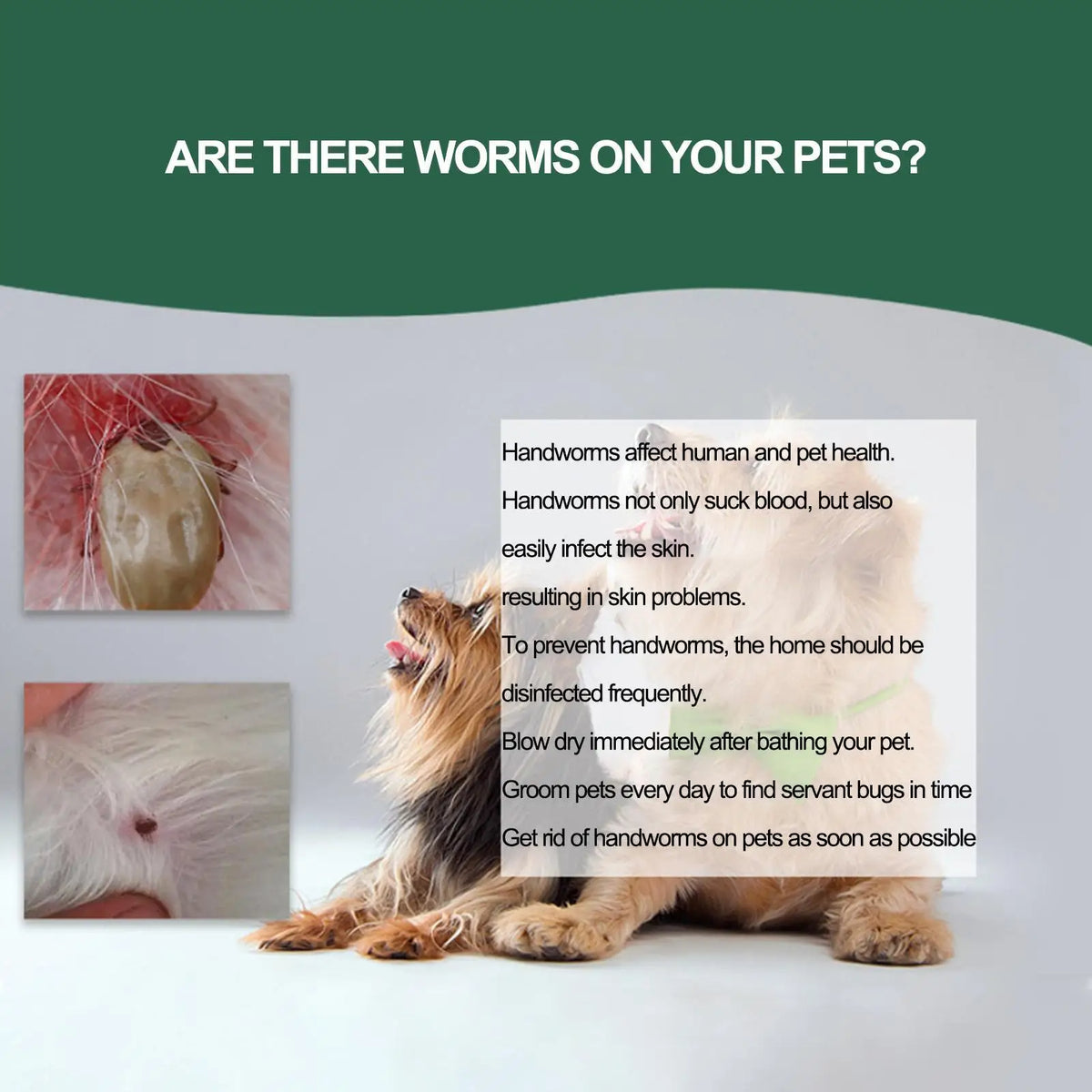 Pet Tick Remover Tool Durable Family Pet Flea Control Waterproof Portable Rustproof Tick Removal Pen For Cat Dog