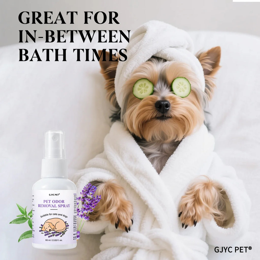 Pet Odor Eliminator Spray Verbena & Lavender Scent Alcohol-Free Non-Irritating Gentle Deodorizing Long Lasting Pet Essential