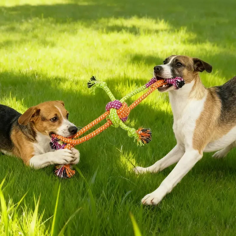 Rope Toy Teeth Cleaning