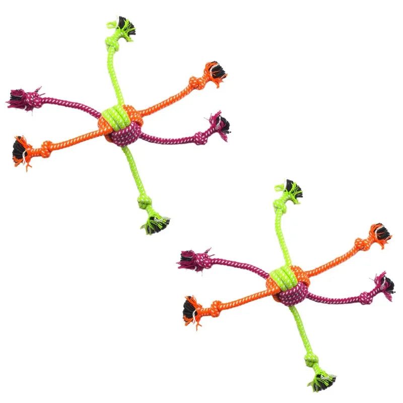 Rope Toy Teeth Cleaning