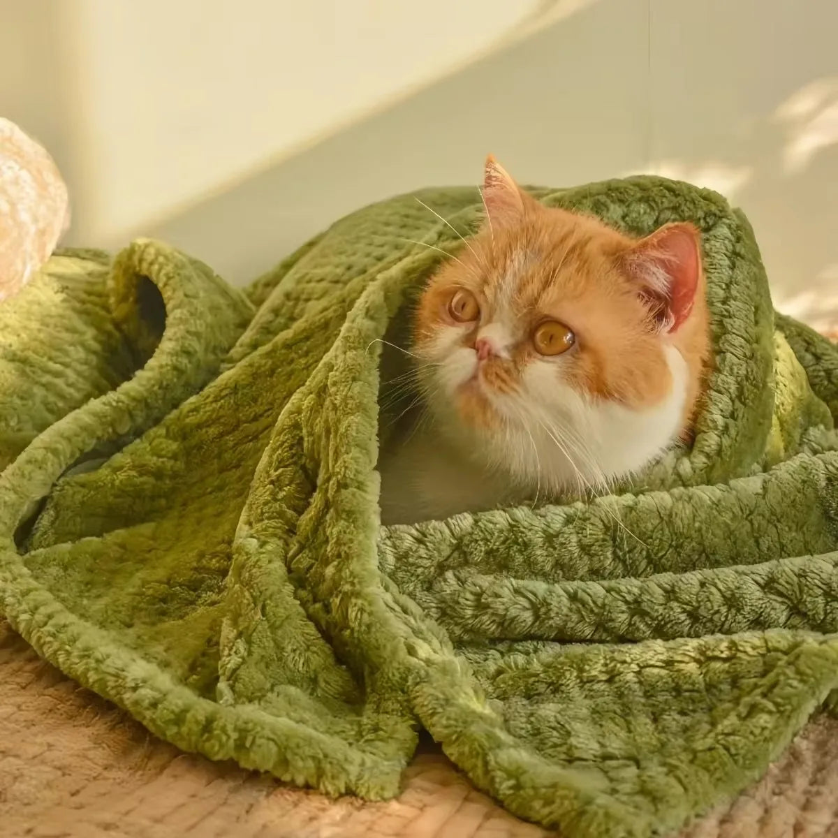 Soft Plaid Pet Blanket for Small Medium Dogs Cats Warm Breathable Pet Mat Bed Cover Washable Dog Blanket 70x100cm Soft Fleece Pe