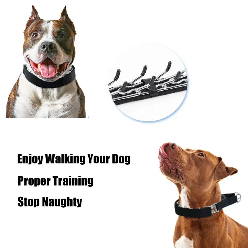 Training Pinch Collar for Barking