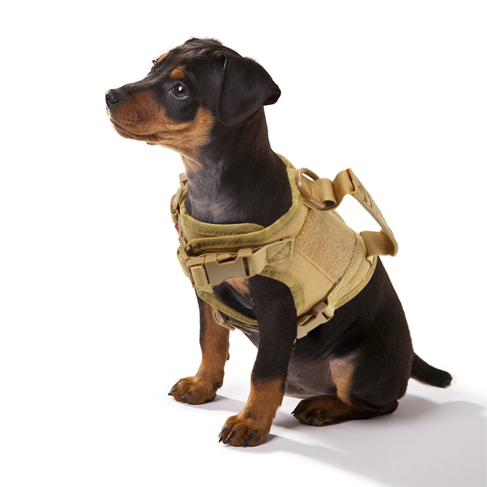 Puppy Harness