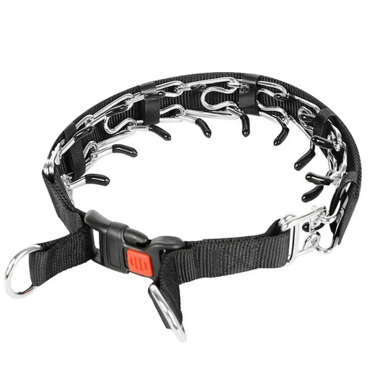 Training Pinch Collar for Barking