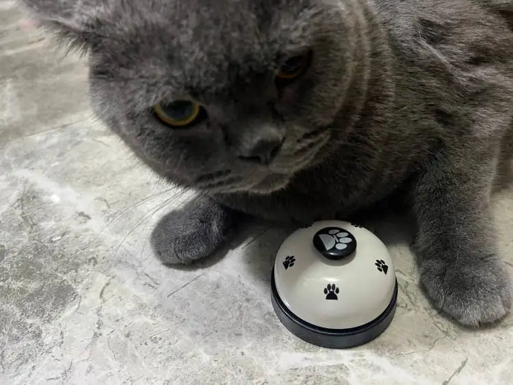 Pet Toys Bell for Dogs Cat Training Interactive Toy Called Dinner Small Bells Footprint Ring Trainer Feeding Reminder For Teddy