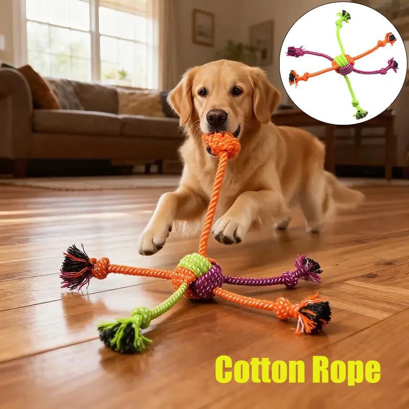 Rope Toy Teeth Cleaning