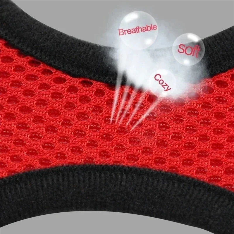 Harness Vest