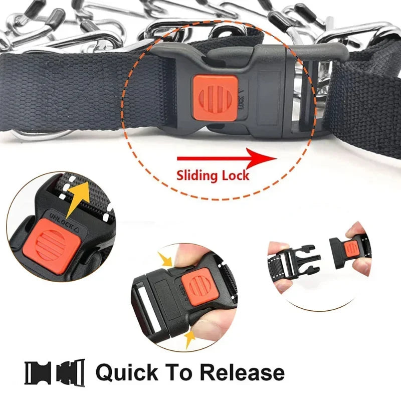 Training Pinch Collar for Barking