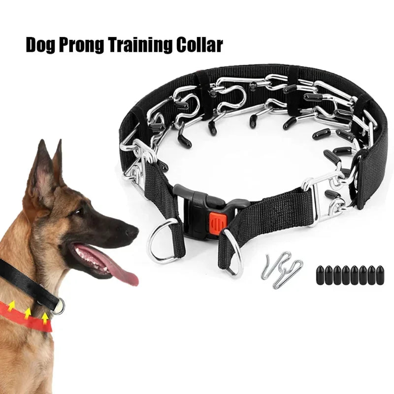 Training Pinch Collar for Barking