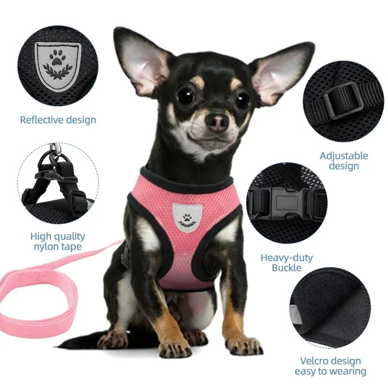 Harness Vest