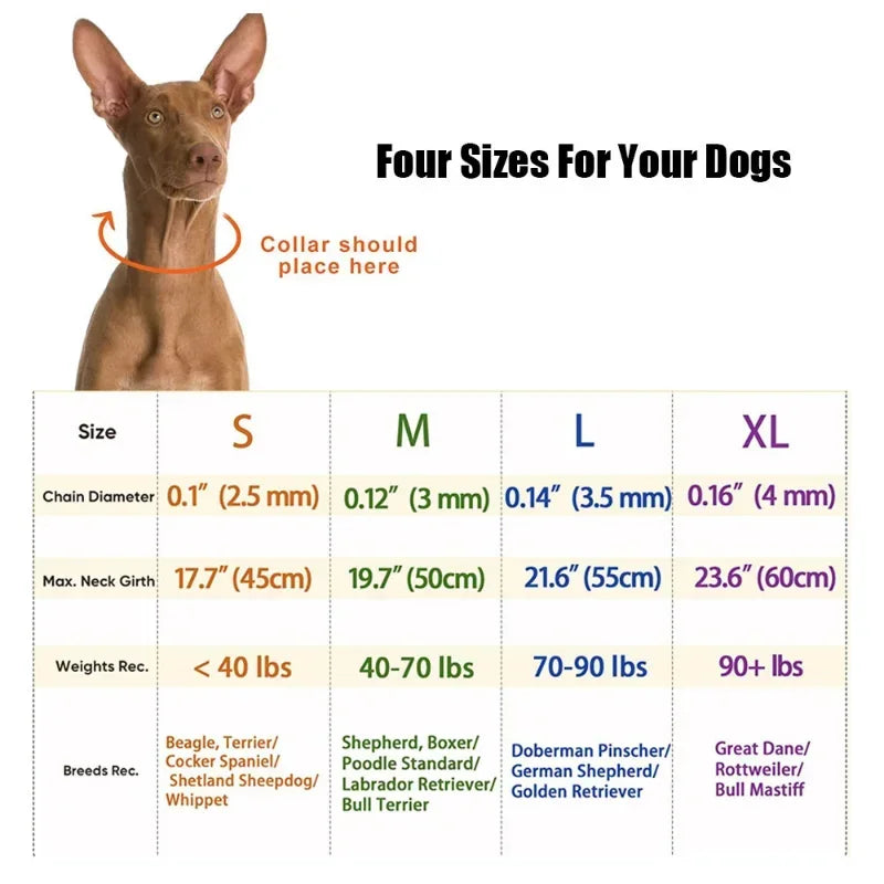 Training Pinch Collar for Barking