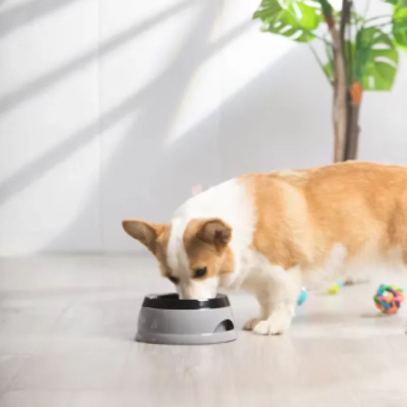 Portable Plastic Pet Dog Bowls No Spill Floating Design Non-Slip Cat Bowl Water Feeder Dry Mouth Support Pet Accessories