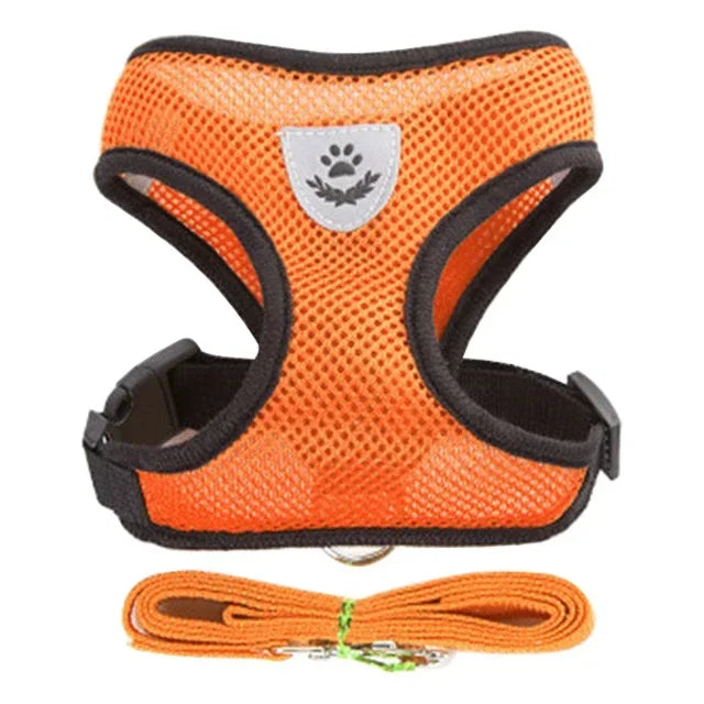 Harness Vest