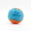 Squeaky Ball Toy