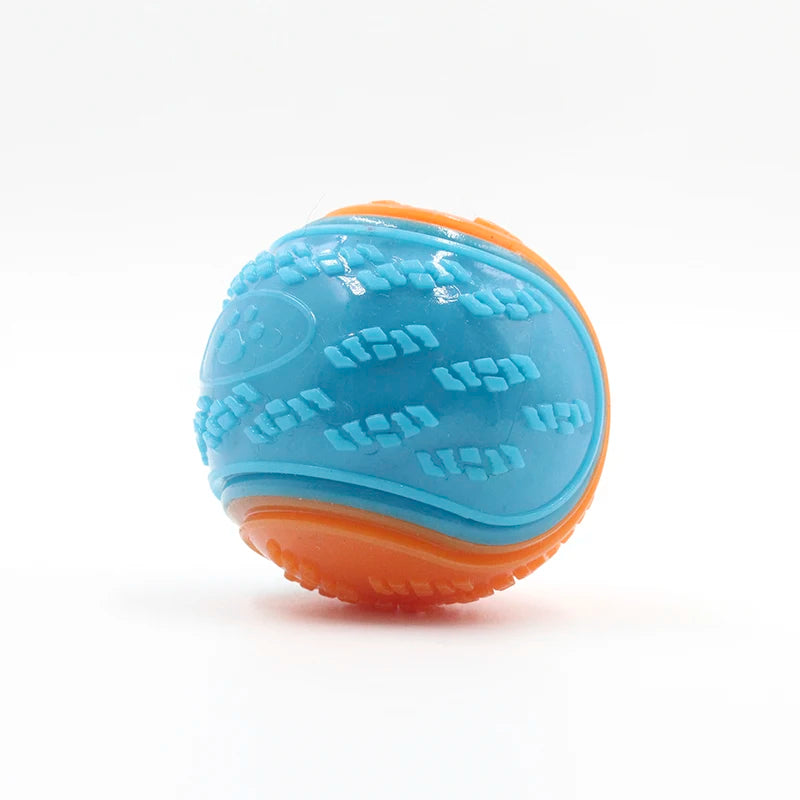 Squeaky Ball Toy