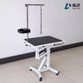 LZ Pet Hot Sale Small Pneumatic Lifting Pet Grooming Table for Pet Cats Small Dog Beauty Table
