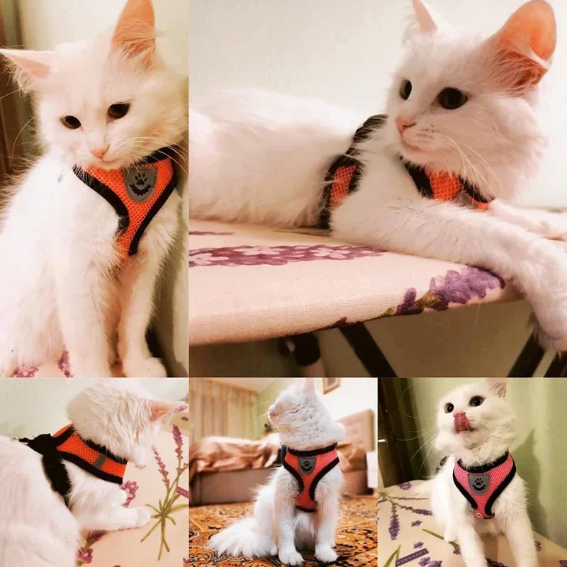 Harness Vest