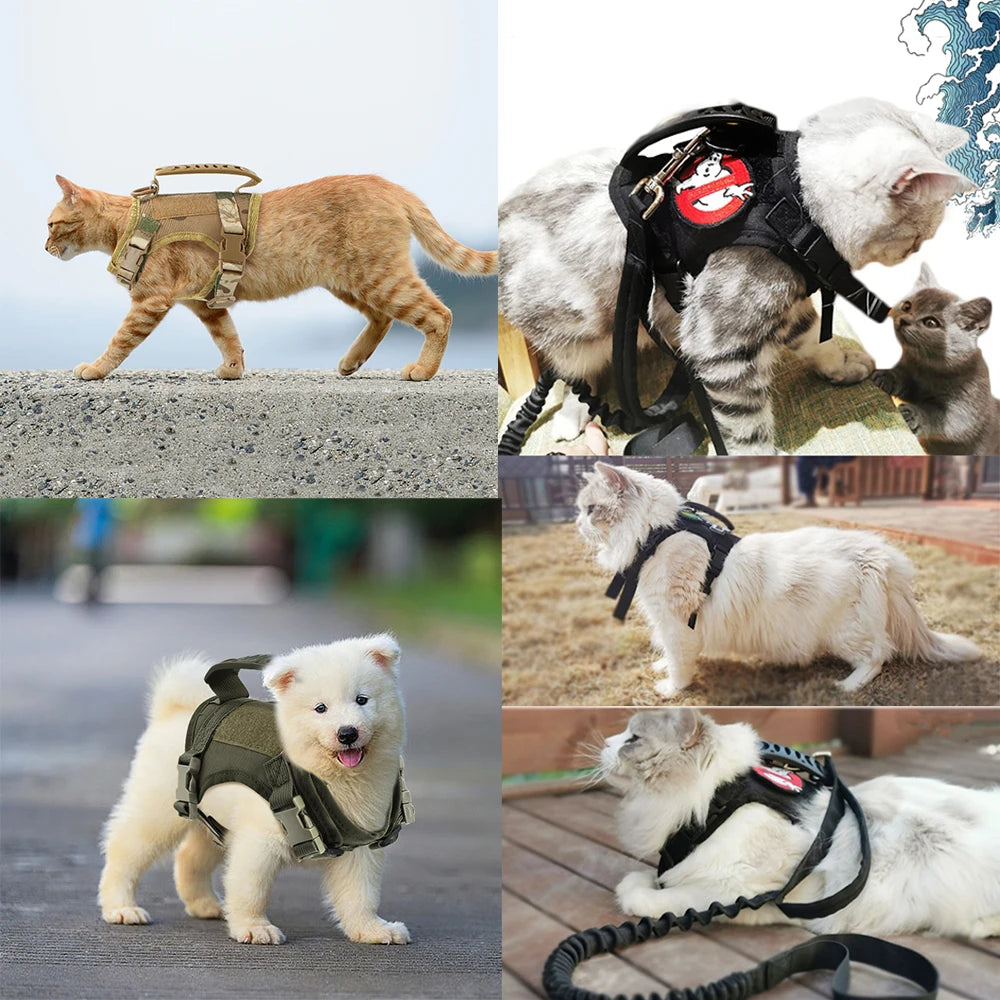 Puppy Harness