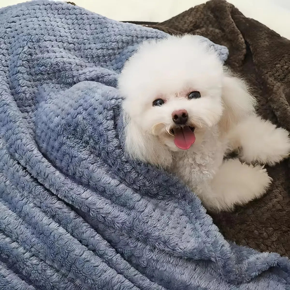 Soft Plaid Pet Blanket for Small Medium Dogs Cats Warm Breathable Pet Mat Bed Cover Washable Dog Blanket 70x100cm Soft Fleece Pe